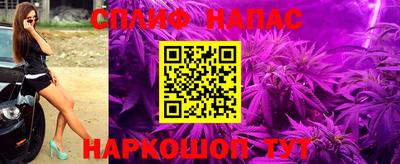 стафф Дубна