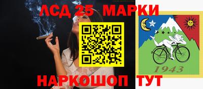 стафф Дубна