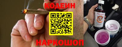 сатива Ростов Великий